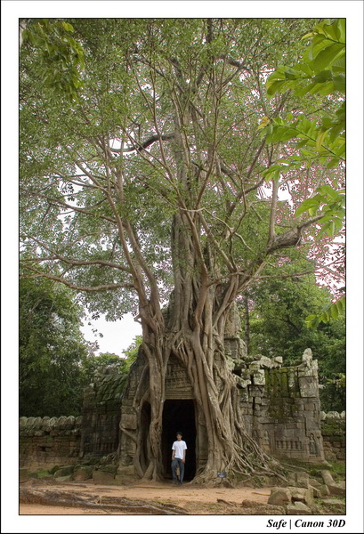 2006 - 07 - Temple angkor - Ta Som 21
